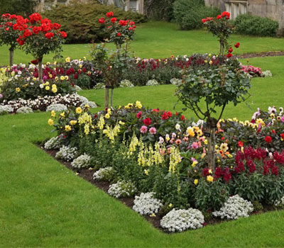 Garden care and maintenance 