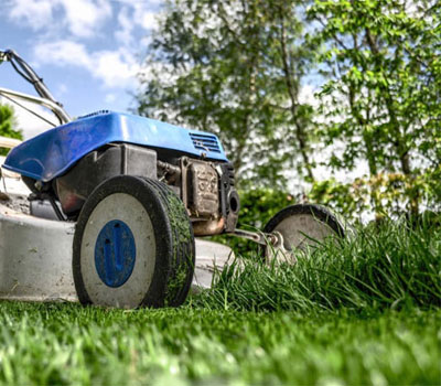 Lawn Care, mowing, moss clearance and fertilising 