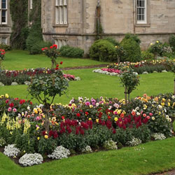 Landscape Design 